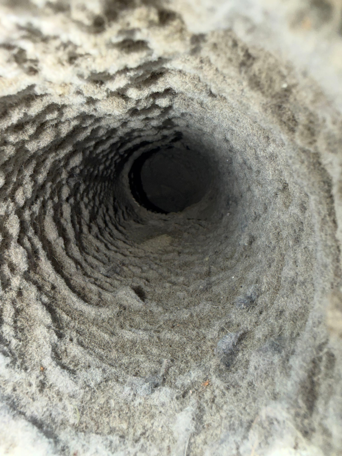 Dryer Vent Cleaning before Ridgeline cleaning — Lint-packed vent line