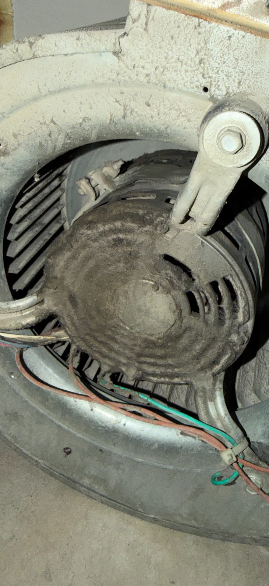 Blower Motor & Air Handler Cleaning before cleaning