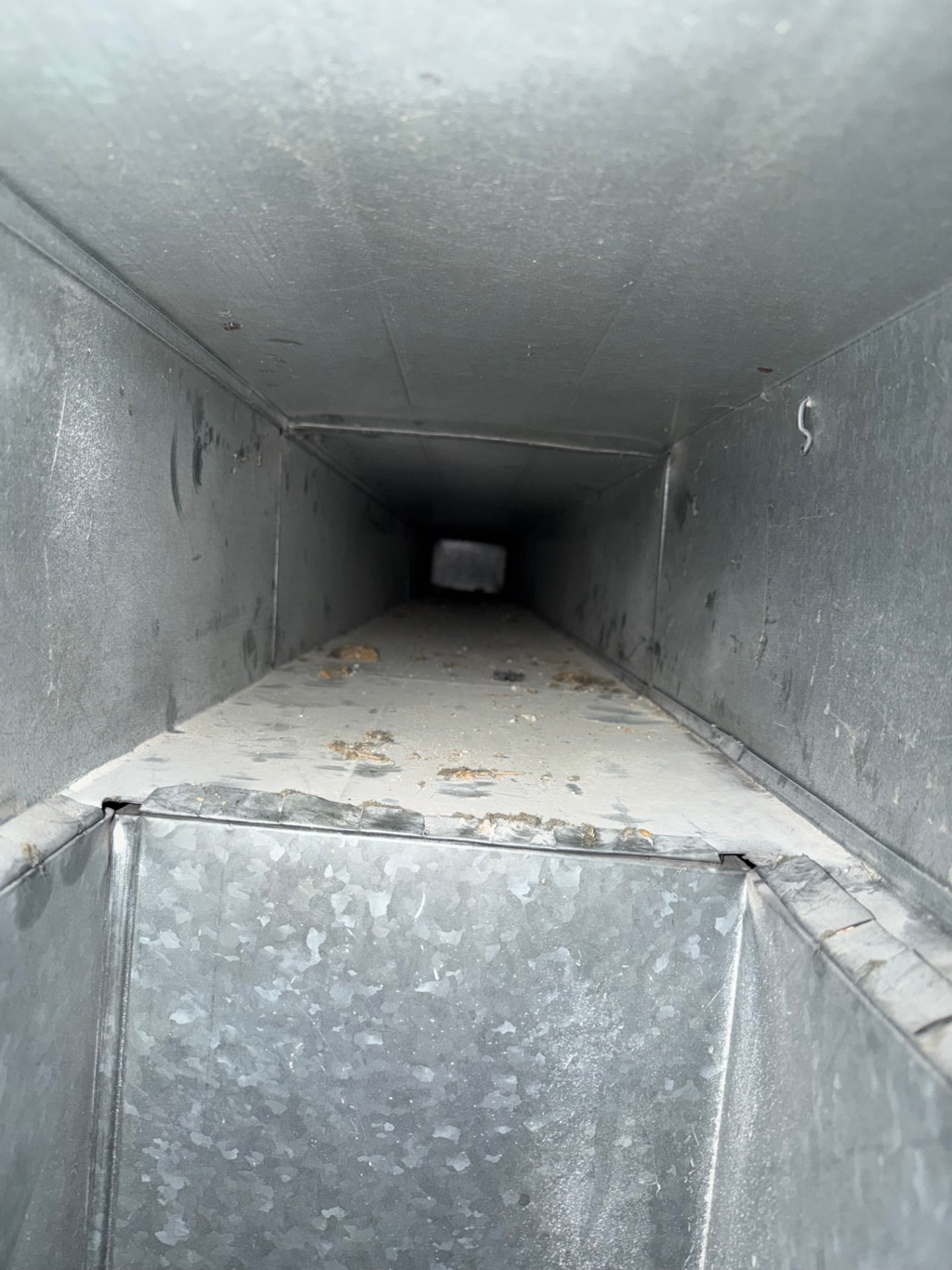 Air Duct Cleaning before Ridgeline cleaning — Main return plenum