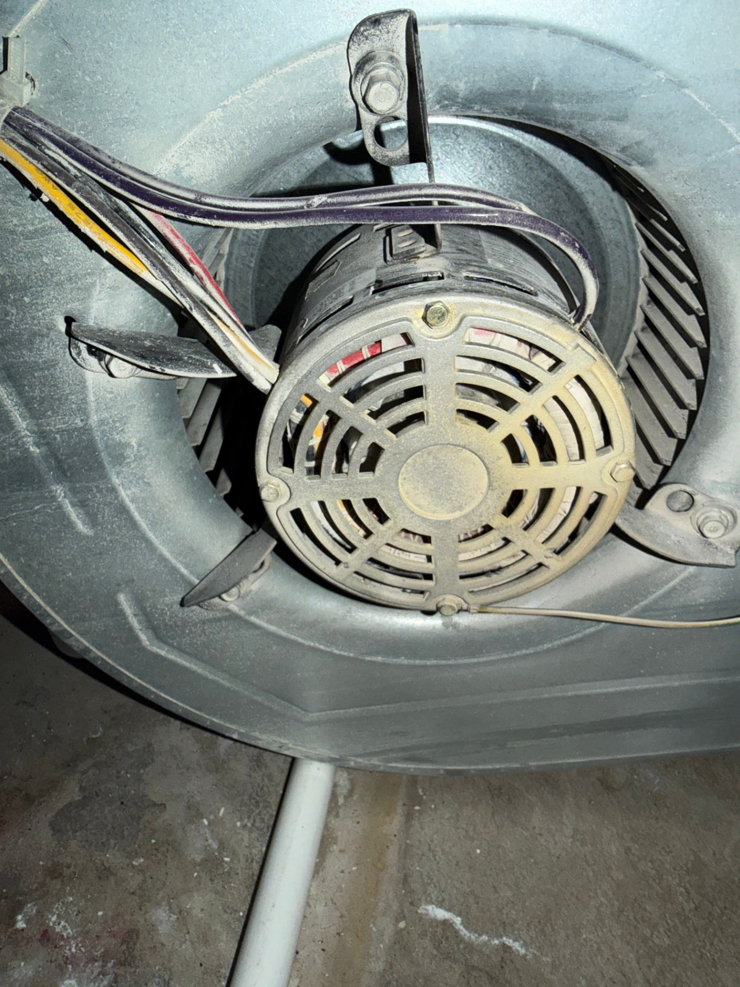Blower Motor & Air Handler Cleaning after cleaning